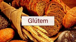 What is Glútem? All You Need To Know